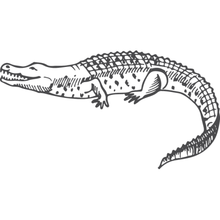 Crocodile Wall Sticker