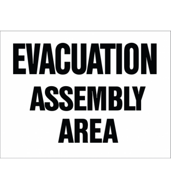 EVACUATION (YOUR TEXT)