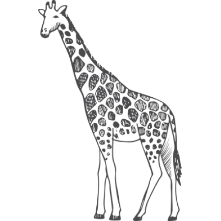 Giraffe Wall Sticker