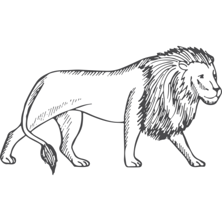 Lion Wall Sticker