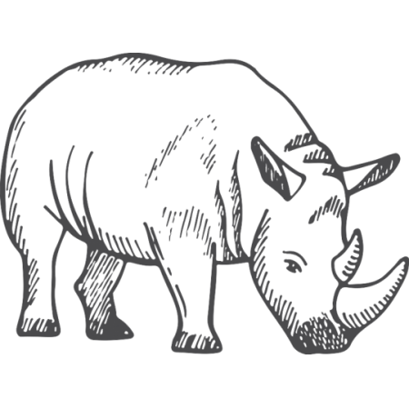 Rhino Wall Sticker