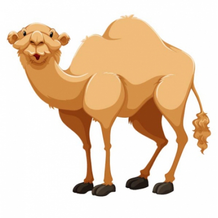 Camel Sticker