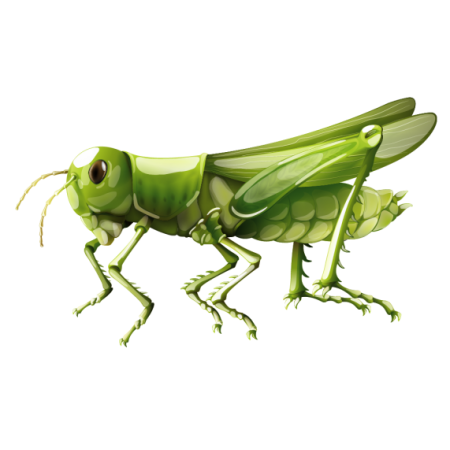 Grasshopper Sticker
