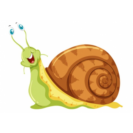 Snail Sticker