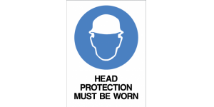 HEAD PROTECTION MUST BE WORN