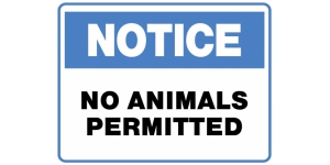 NOTICE NO ANIMALS PERMITTED