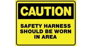 CAUTION SAFETY HARNESS SHOULD BE WORN IN AREA