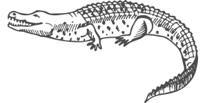 Crocodile Wall Sticker