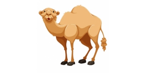 Camel Sticker