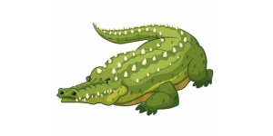 Crocodile Sticker