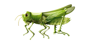 Grasshopper Sticker