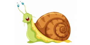 Snail Sticker