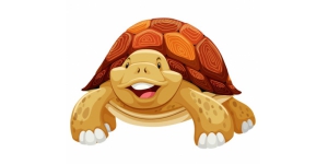 Turtle Sticker