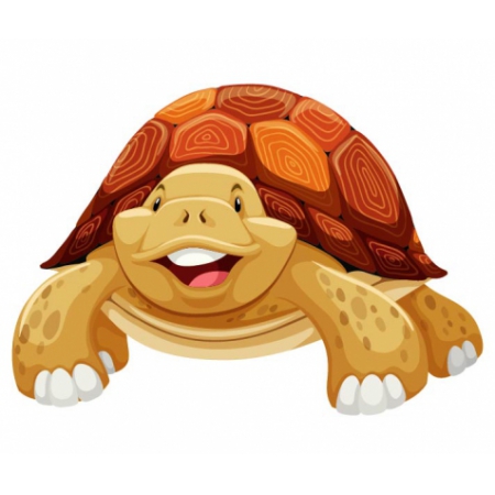 Turtle Sticker